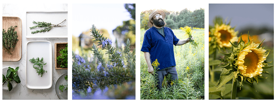 Seasonal photos from "Herbs in Every Season", brand new book by Bevin Cohen